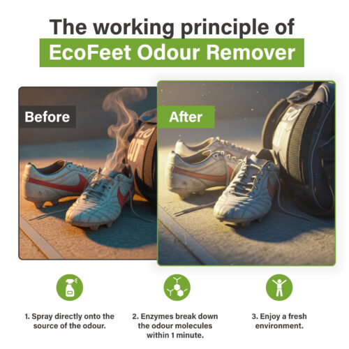 Voor-en-na afbeelding van sportschoenen met zichtbare zweetgeur in het ‘voor’-beeld en frisse, geurvrije schoenen in het ‘na’-beeld, met uitleg over hoe EcoFeet Zweetgeurverwijderaar werkt.