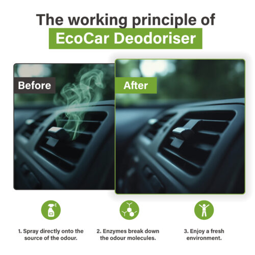 Voor-en-na vergelijking van autoventilatie met EcoCar Ontgeurder