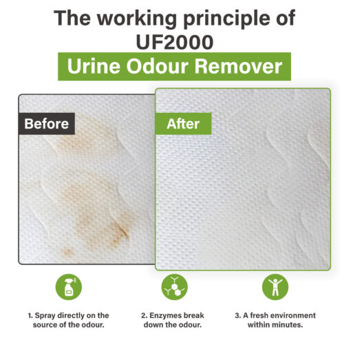 Voor-en-na afbeelding van een matras met een urinevlek vóór behandeling en een schoon oppervlak na gebruik van UF2000, met uitleg van drie stappen: sprayen, enzymatische afbraak en een frissere omgeving.