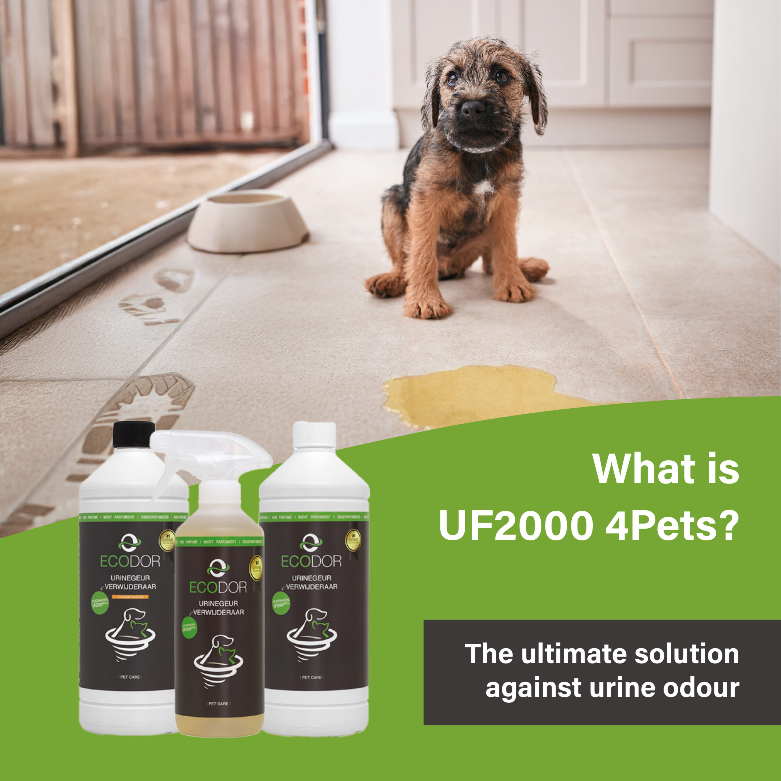Afbeelding met een puppy die naast een plas urine op de vloer zit, met onderaan drie flessen UF2000 4Pets en de tekst “Wat is UF2000 4Pets?”.