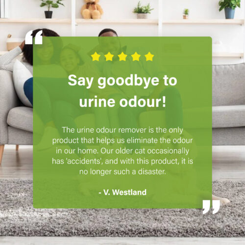 Afbeelding met een klantreview over het verwijderen van urinelucht, geplaatst over een foto van een gezin op een bank, met tekst en sterrenbeoordeling.