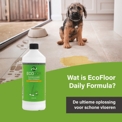 Puppy on a tiled floor next to a puddle of urine with Ecodor EcoFloor Daily Formula floor cleaner. Suitable for cleaning hard floors in households with pets.